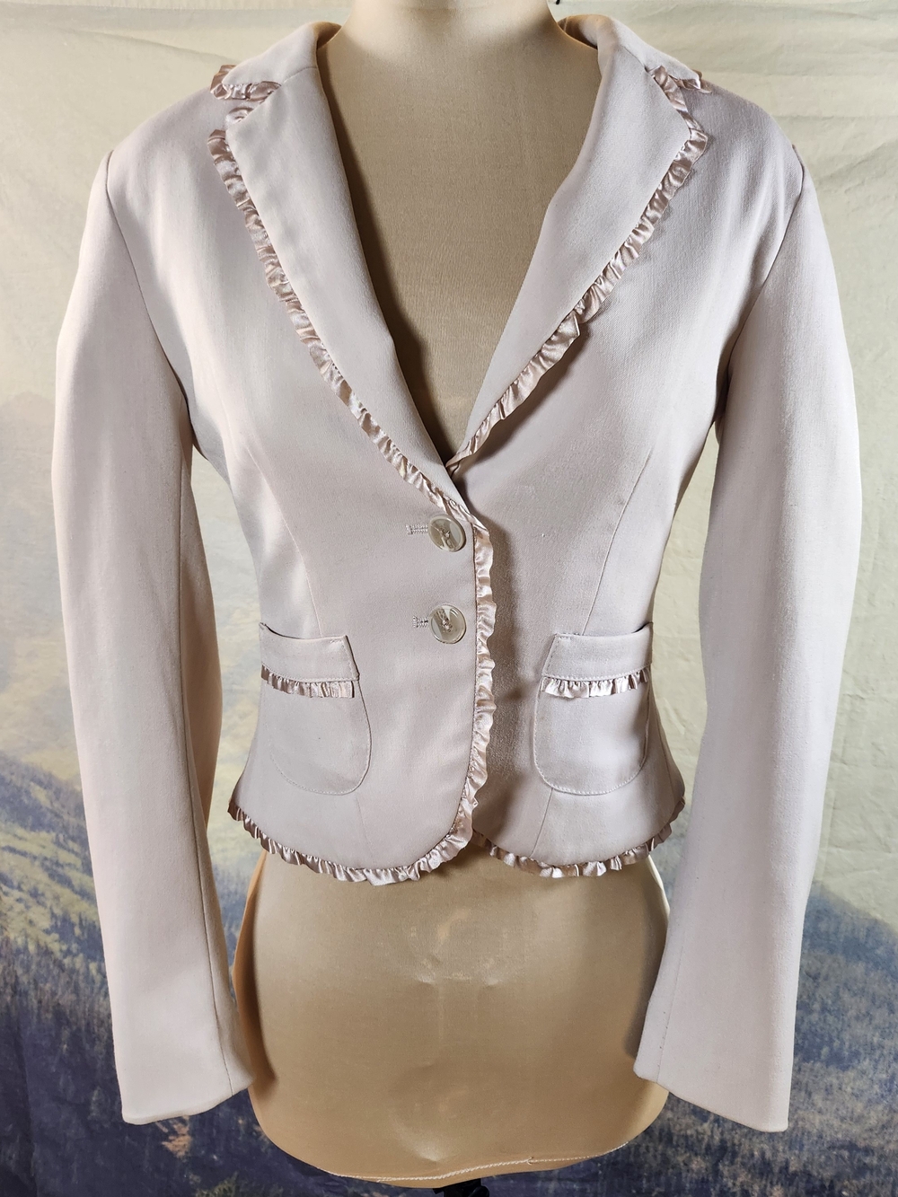 H&M Blush Pale Pink Ruffle-Trim Fitted Jacket Blazer 2